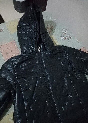Zara Mont 
