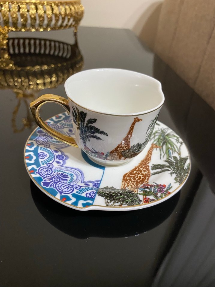 Kosova marka Desenli Fincan ve Tabak - Görsel 2