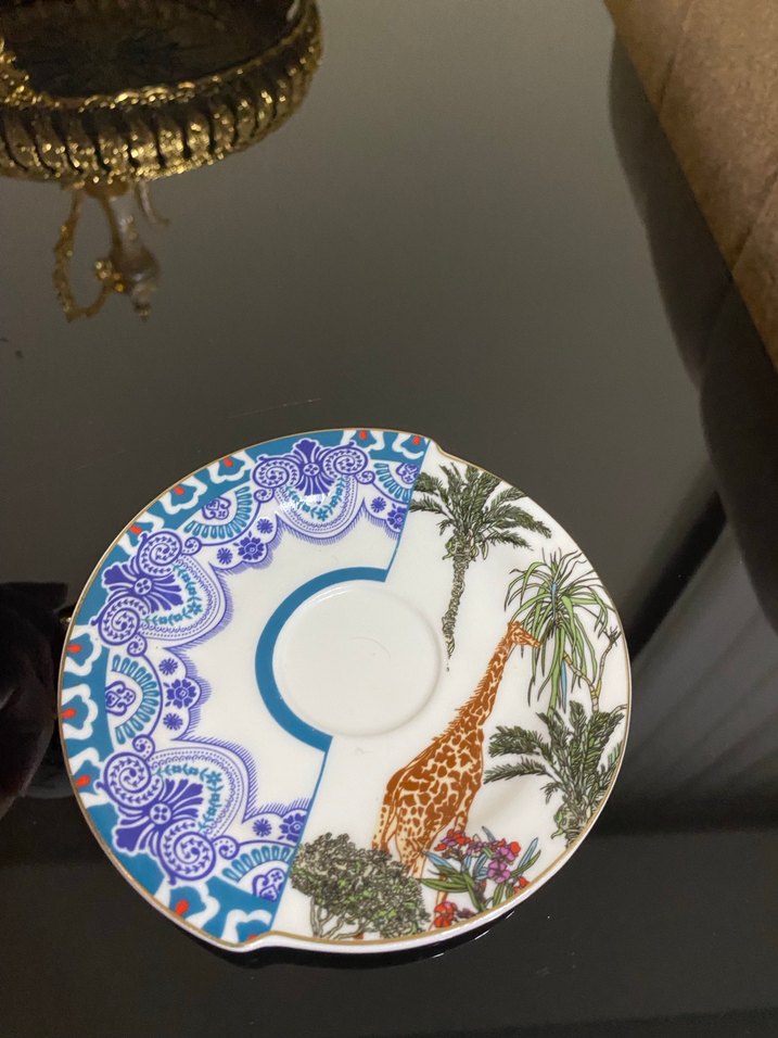 Kosova marka Desenli Fincan ve Tabak - Görsel 5