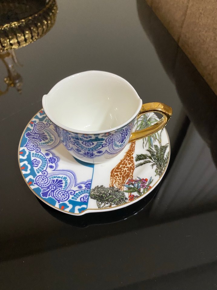 Kosova marka Desenli Fincan ve Tabak - Görsel 3