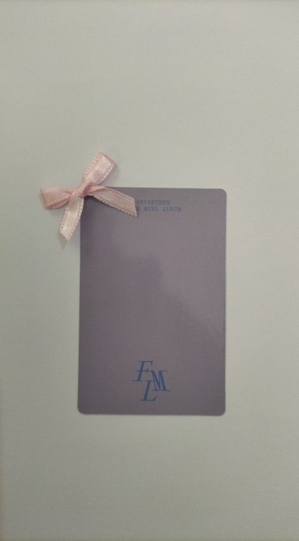 Seventeen Seungkwan Orjinal Pc - Görsel 2