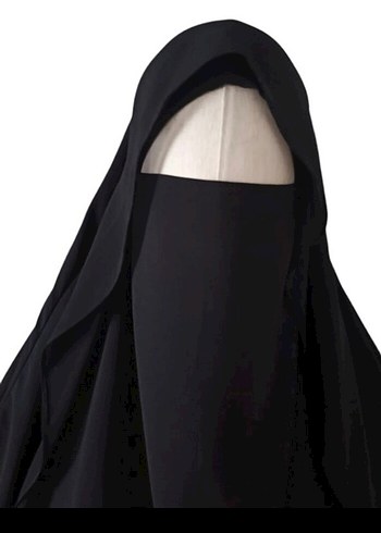 gölgeli uzun sufle - Görsel 2