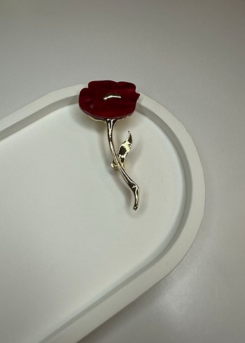 Renkli broşlar - Görsel 3