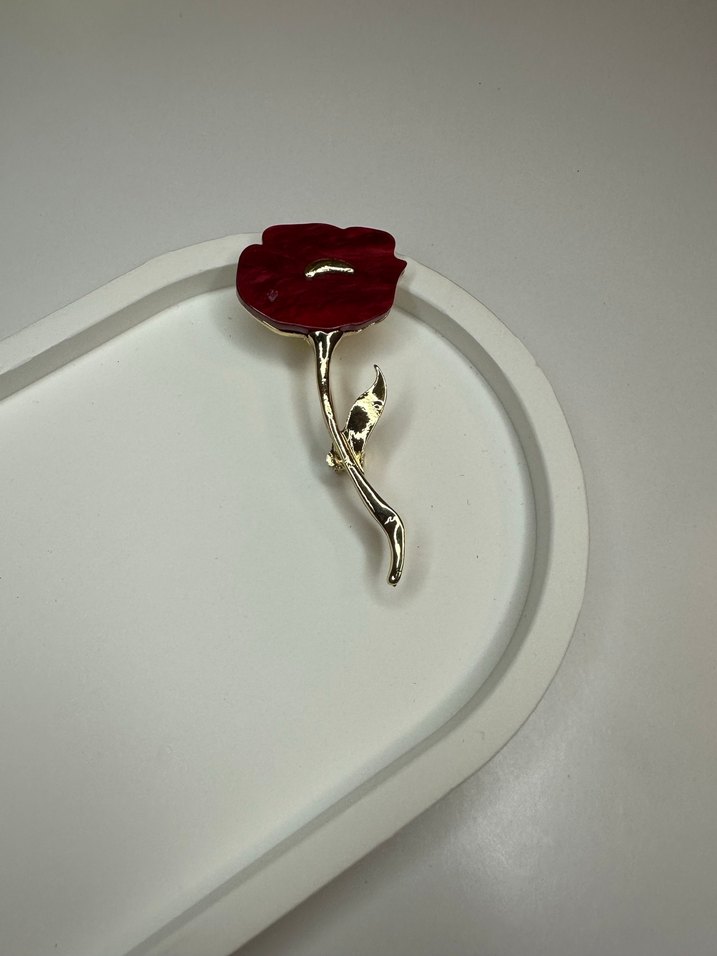 Renkli broşlar - Görsel 3