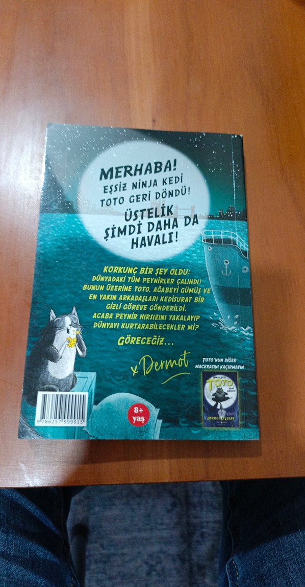 Ninja Kedi Toto: İnanılmaz Peynir Soygunu - Görsel 2