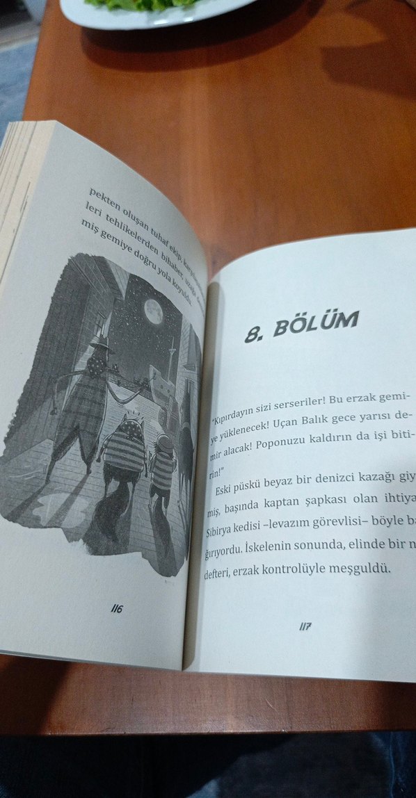 Ninja Kedi Toto: İnanılmaz Peynir Soygunu - Görsel 5