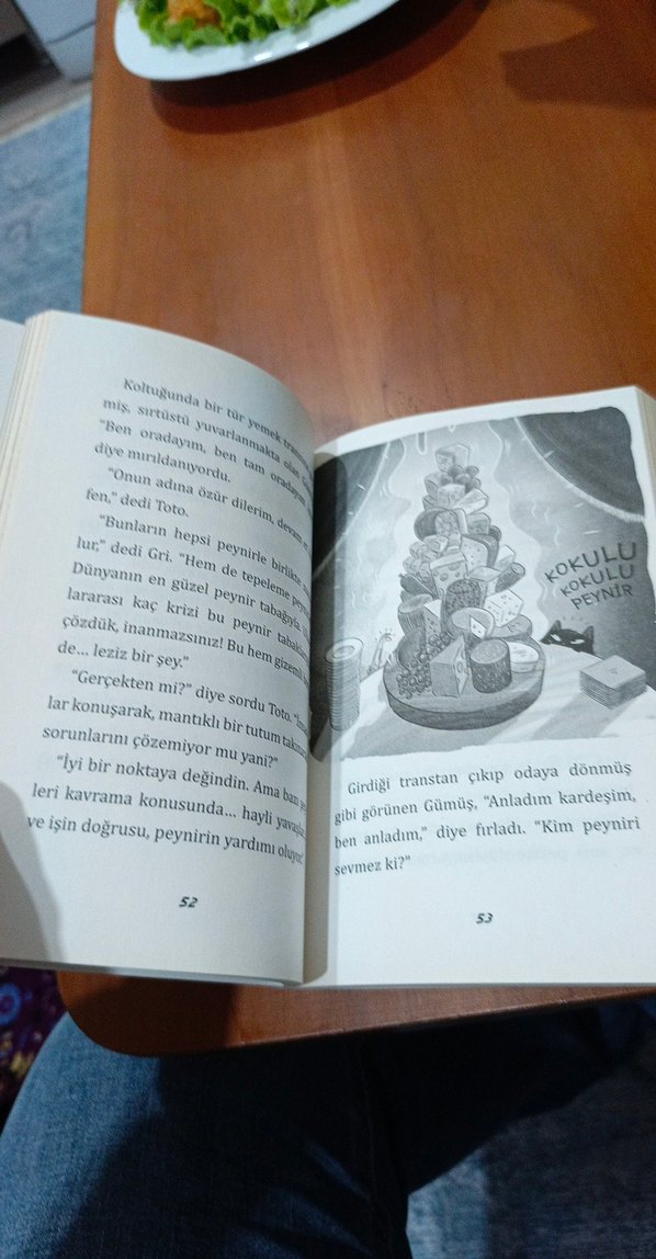 Ninja Kedi Toto: İnanılmaz Peynir Soygunu - Görsel 4