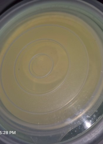 Pastel Renkli Plastik Saklama Kapları - Görsel 3