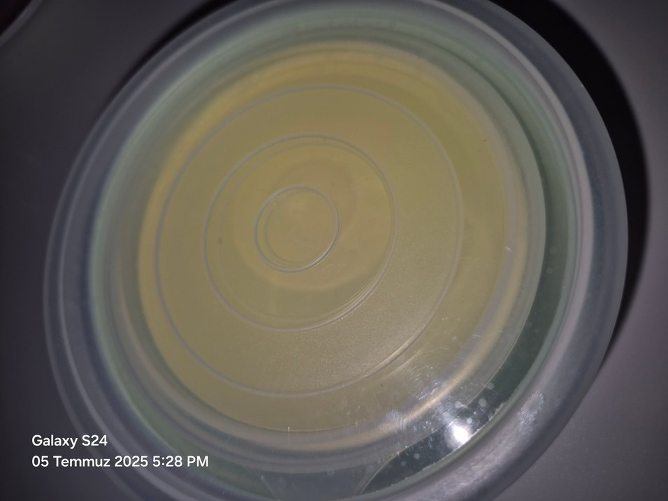 Pastel Renkli Plastik Saklama Kapları - Görsel 3