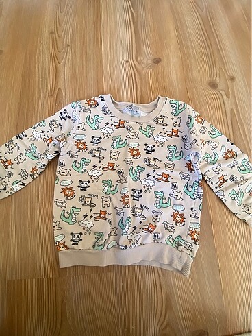 Erkek çocuk sweat
