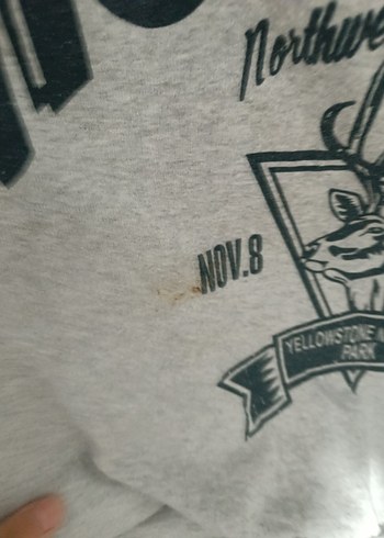 Gri Baskılı Kadın Sweatshirt - Görsel 4