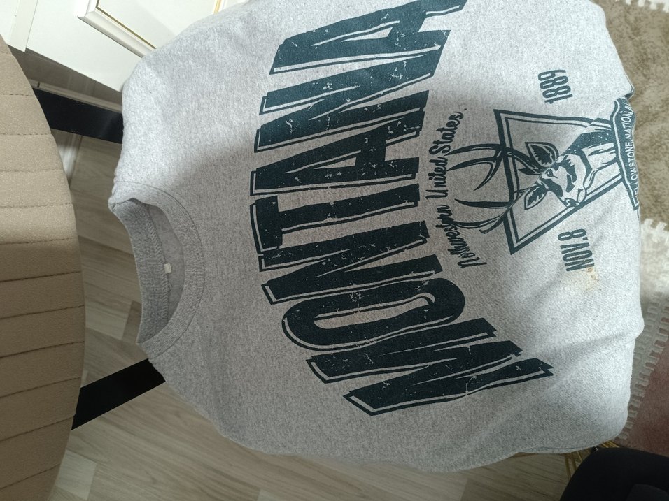 Gri Baskılı Kadın Sweatshirt - Görsel 2