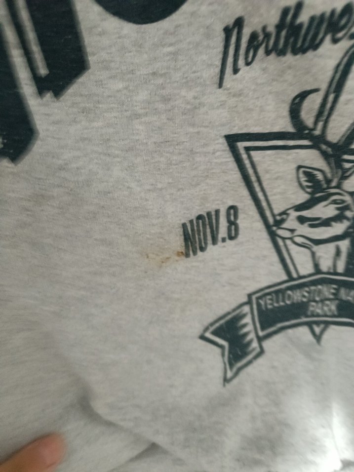 Gri Baskılı Kadın Sweatshirt - Görsel 4