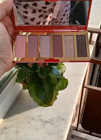 Estee Lauder ESTEE LAUDER FAR PALETİ