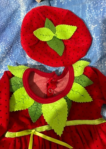 Kız Çocuk Kırmızı Nakışlı Uzun Kollu Elbise - Görsel 2