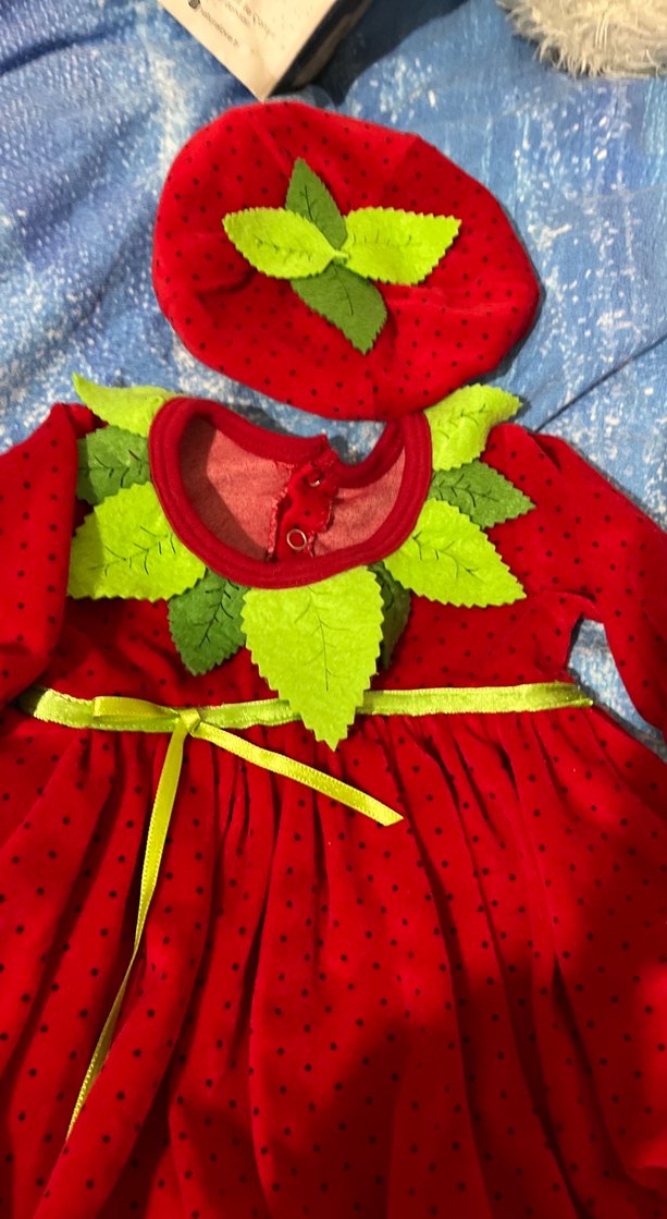 Kız Çocuk Kırmızı Nakışlı Uzun Kollu Elbise - Görsel 4