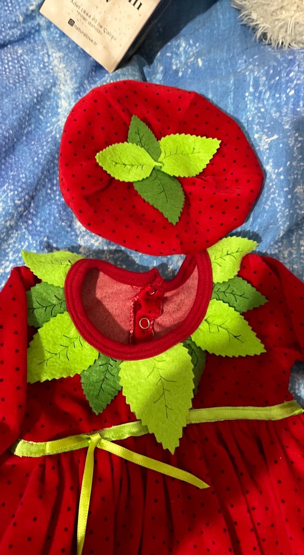 Kız Çocuk Kırmızı Nakışlı Uzun Kollu Elbise - Görsel 2