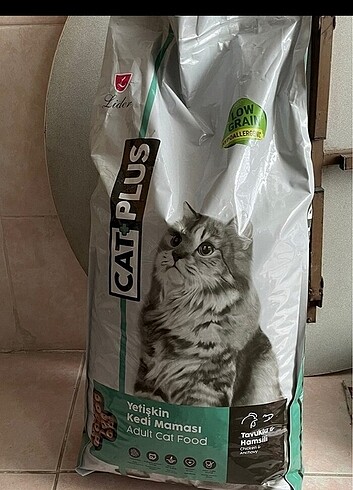 Kedi maması