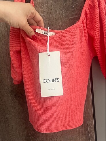 Colin's Colins crop
