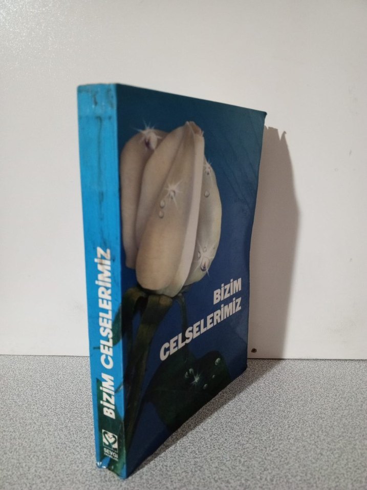 Bizim Celselerimiz Şiir Kitabı - Görsel 3