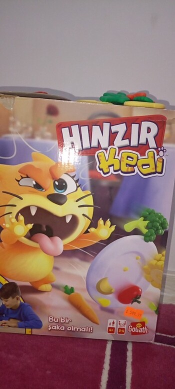 Hınzır kedi 