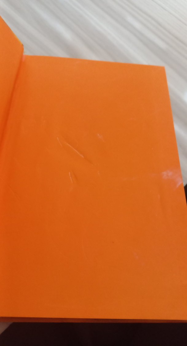 Saftirik Greg'in Günlüğü - Bende Bu Şans Varken - Görsel 2