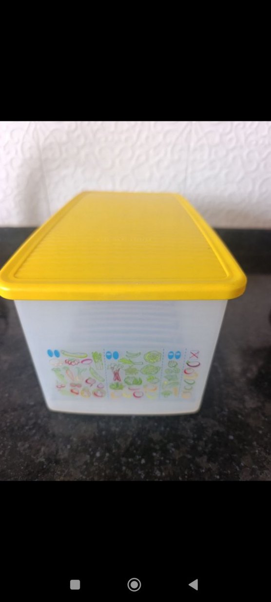 Tupperware tinimini hanım 4 lt - Görsel 5