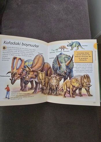 Dinozorlar ve Tarih Öncesi Yaşam Çocuk Kitabı - Görsel 4