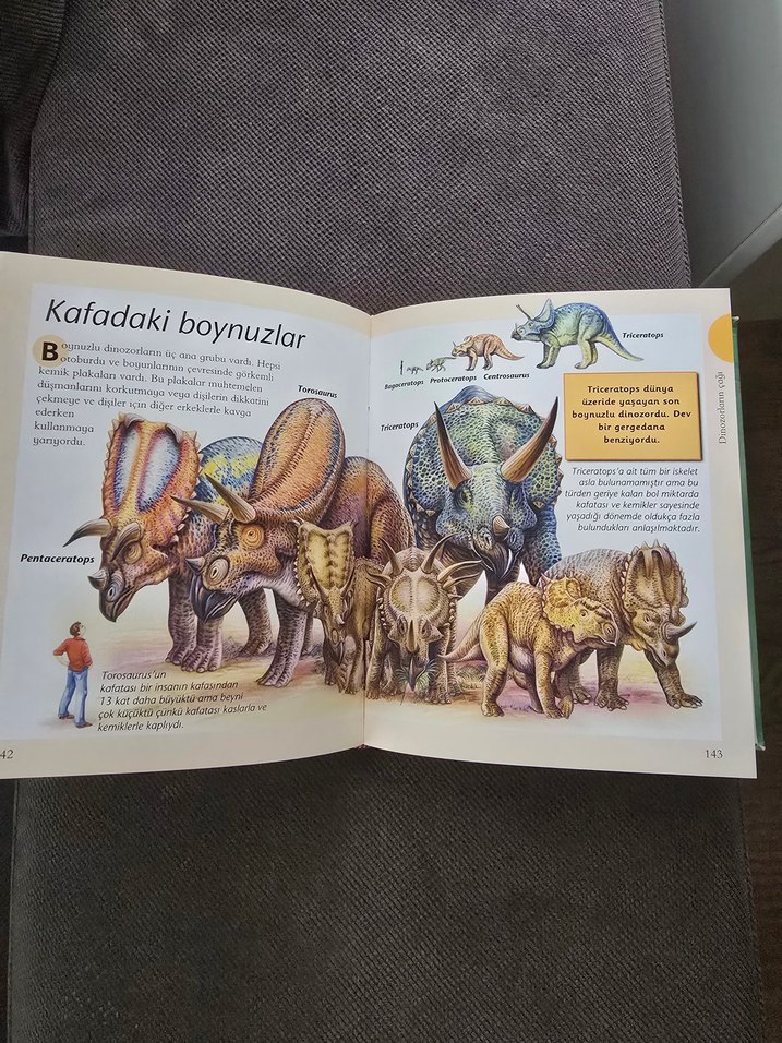 Dinozorlar ve Tarih Öncesi Yaşam Çocuk Kitabı - Görsel 4
