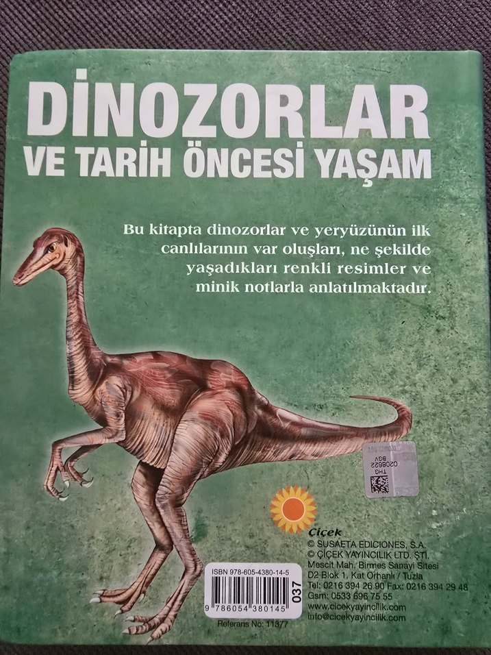 Dinozorlar ve Tarih Öncesi Yaşam Çocuk Kitabı - Görsel 2