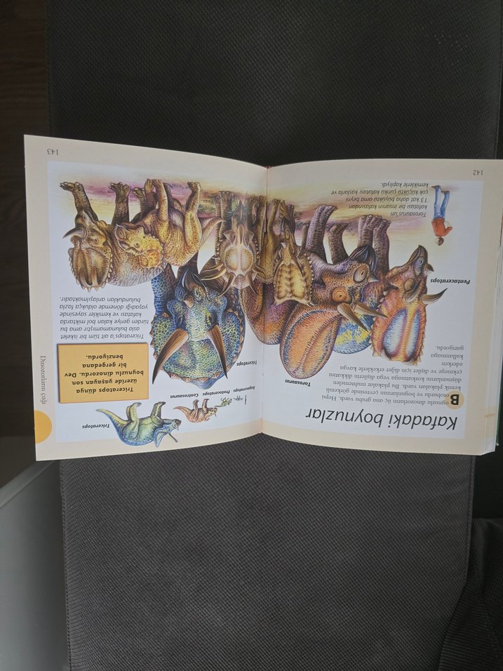 Dinozorlar ve Tarih Öncesi Yaşam Çocuk Kitabı - Görsel 3