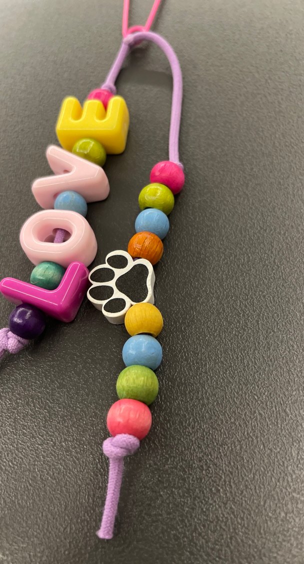 Renkli "LOVE" Yazılı Köpek Aksesuarı - Görsel 3