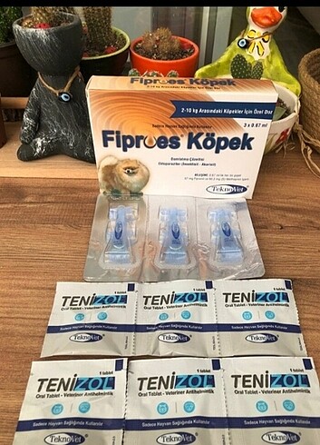 Köpek için 3 dış 6 iç ve sprey