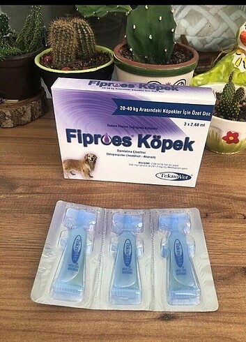 Fiproes köpek dış parazit 1 kutu