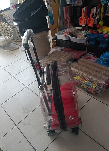  Kedi taşıma çantası