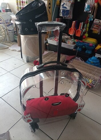  Beden Renk Kedi taşıma çantası