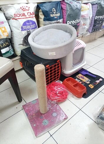 Kedi seti