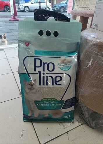 Pro line kedi kumu 