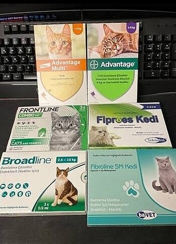 Kedi iç dış parazit