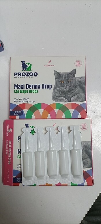 Kedi dış parazit