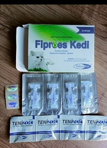 Kedi iç dış parazit