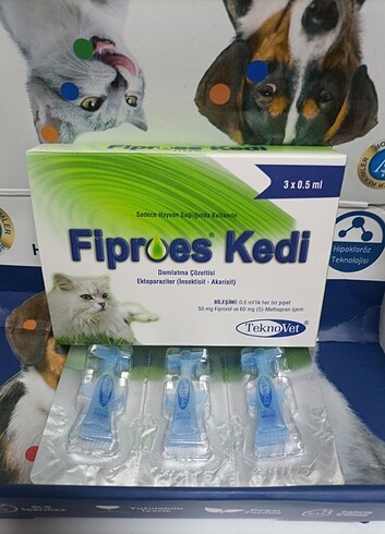 Kedi dış parazit