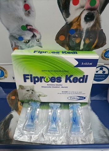 Kedi dış parazit