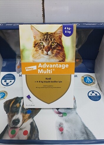 Kedi 4 kg üstü iç dış parazit