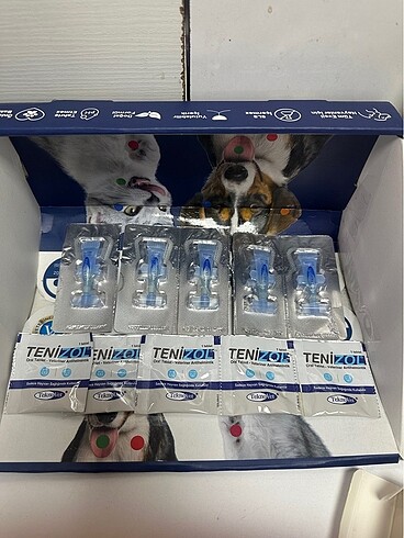 Kedi iç parazit dış parazit