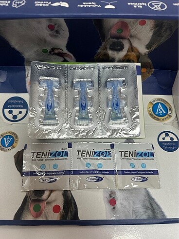 Kedi 3 iç parazit 3 dış parazit