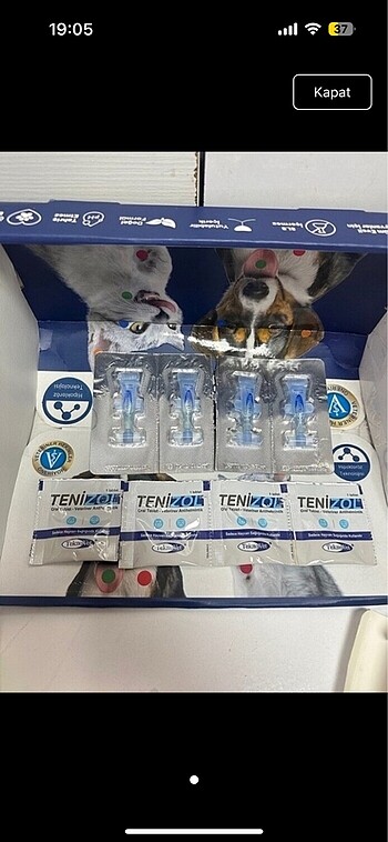 Kedi 4 iç parazit 4 dış parazit