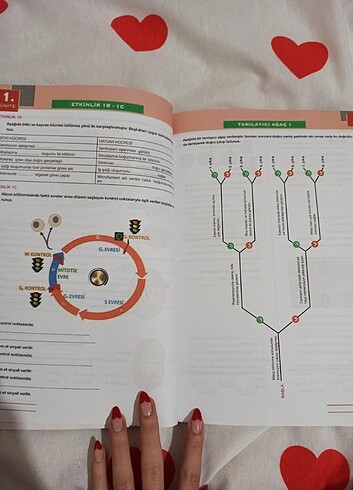  Beden 10. Sınıf biyoloji test kitabı 