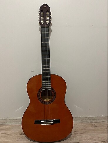 Valencia cg160 gitar