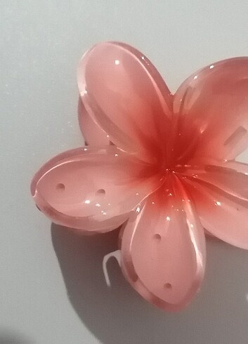 Lotus toka